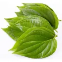 Betel Leaves 