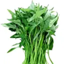 Water Spinach 